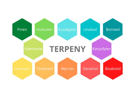 TERPENY