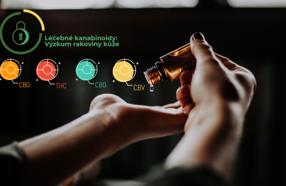 rakovina kože liečivé konope účinky cbd thc masti