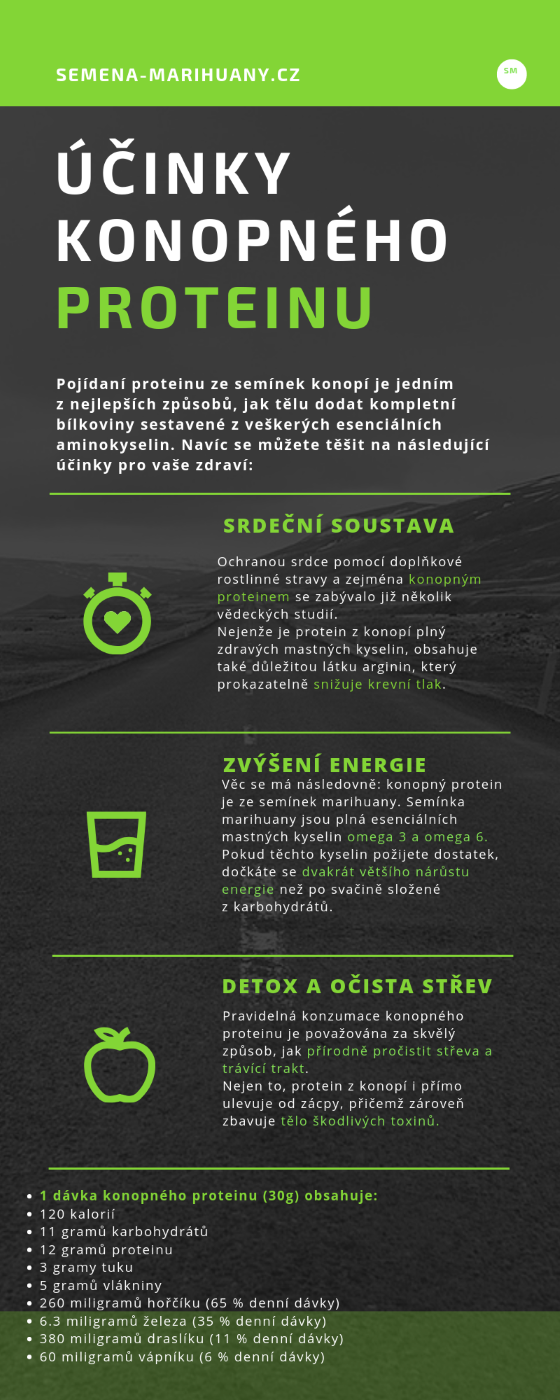 konopný protein zkušenosti, recenze, účinky, studie, rostlinný protein, diskuze, infografika, vegetariánská výživa