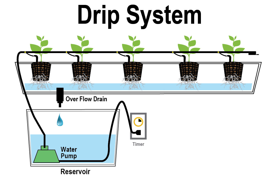 Drip system