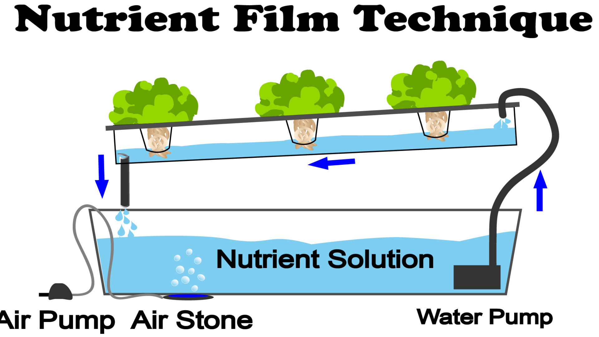 NFT technika