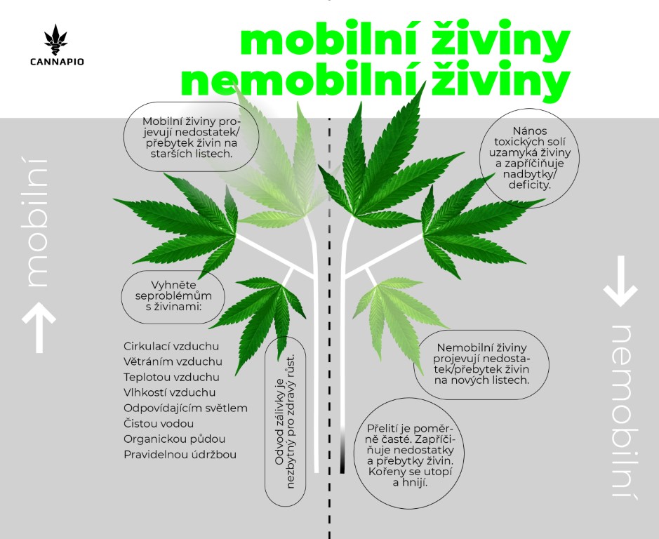 Mobilní a imobilní živiny